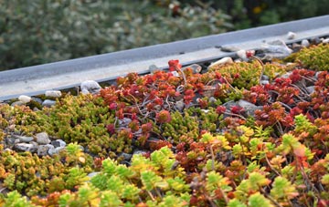 the cost of Glenborrodale green roof installation