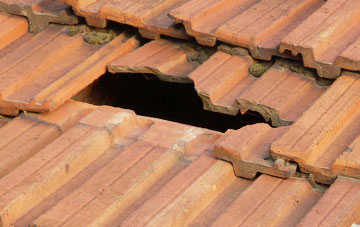 roof repair Glenborrodale, Highland