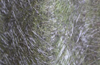 Glenborrodale fibreglass roof work