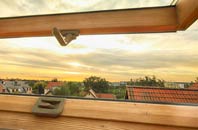 rated Glenborrodale roof window companies